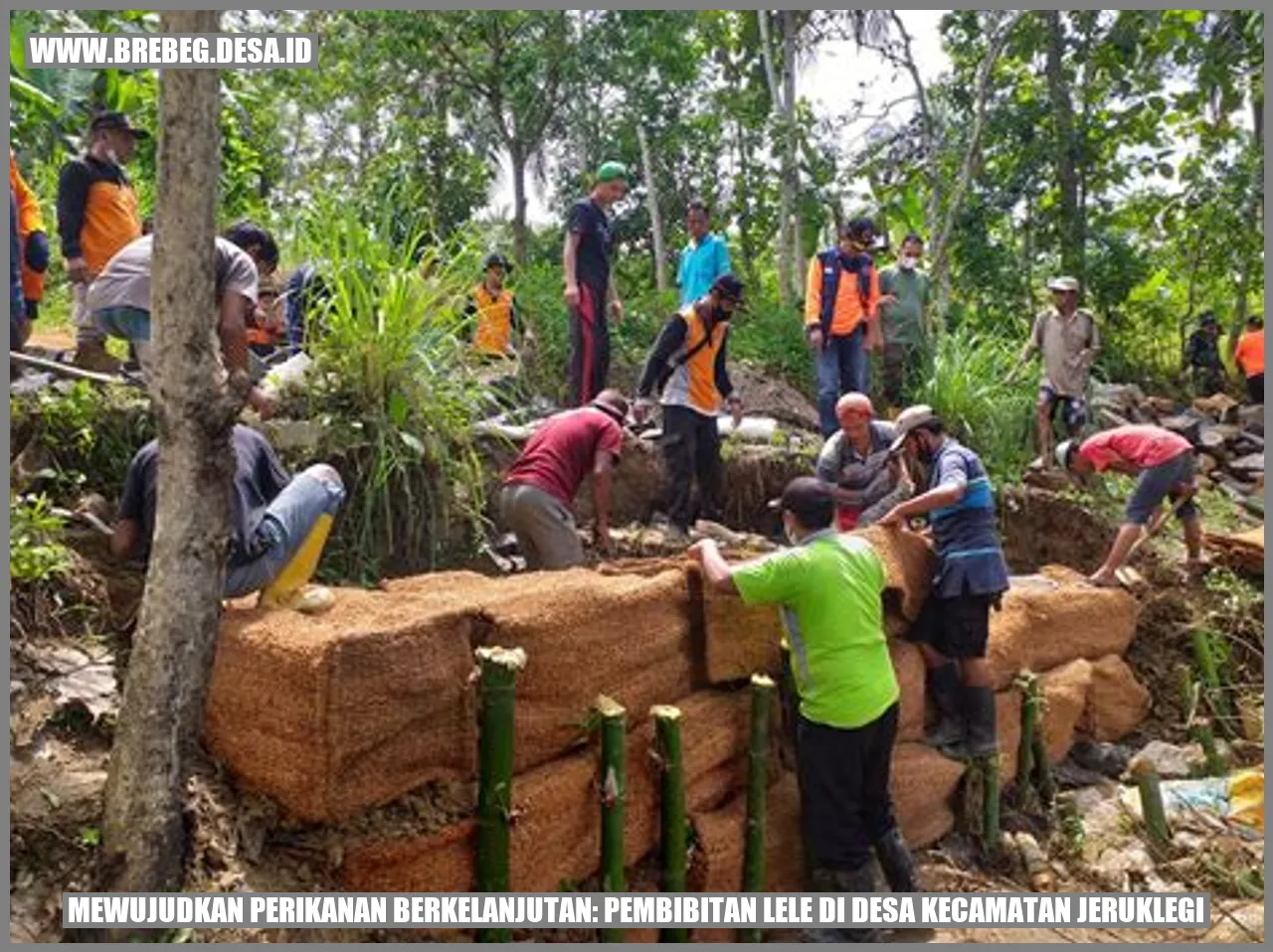 Mewujudkan Perikanan Berkelanjutan: Pembibitan Lele di Desa Kecamatan Jeruklegi